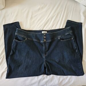 Lane Bryant Dark Indigo Skinny Jeans with Triple Button